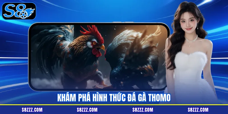 Khám phá hình thức đá gà Thomo