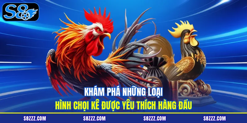 Khám phá những loại hình chọi kê được yêu thích hàng đầu