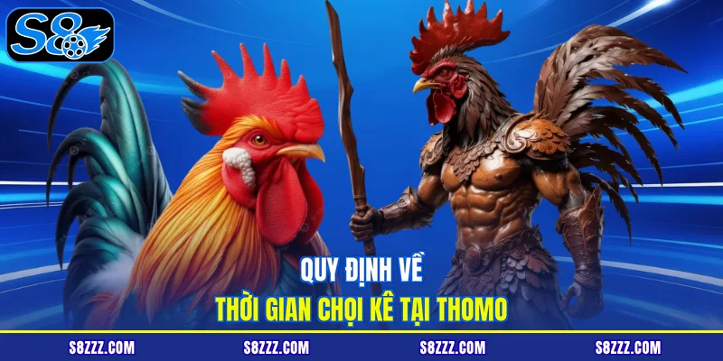Quy định về thời gian chọi kê tại Thomo